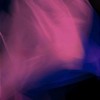 Exkursion: Unbekannte Nähe